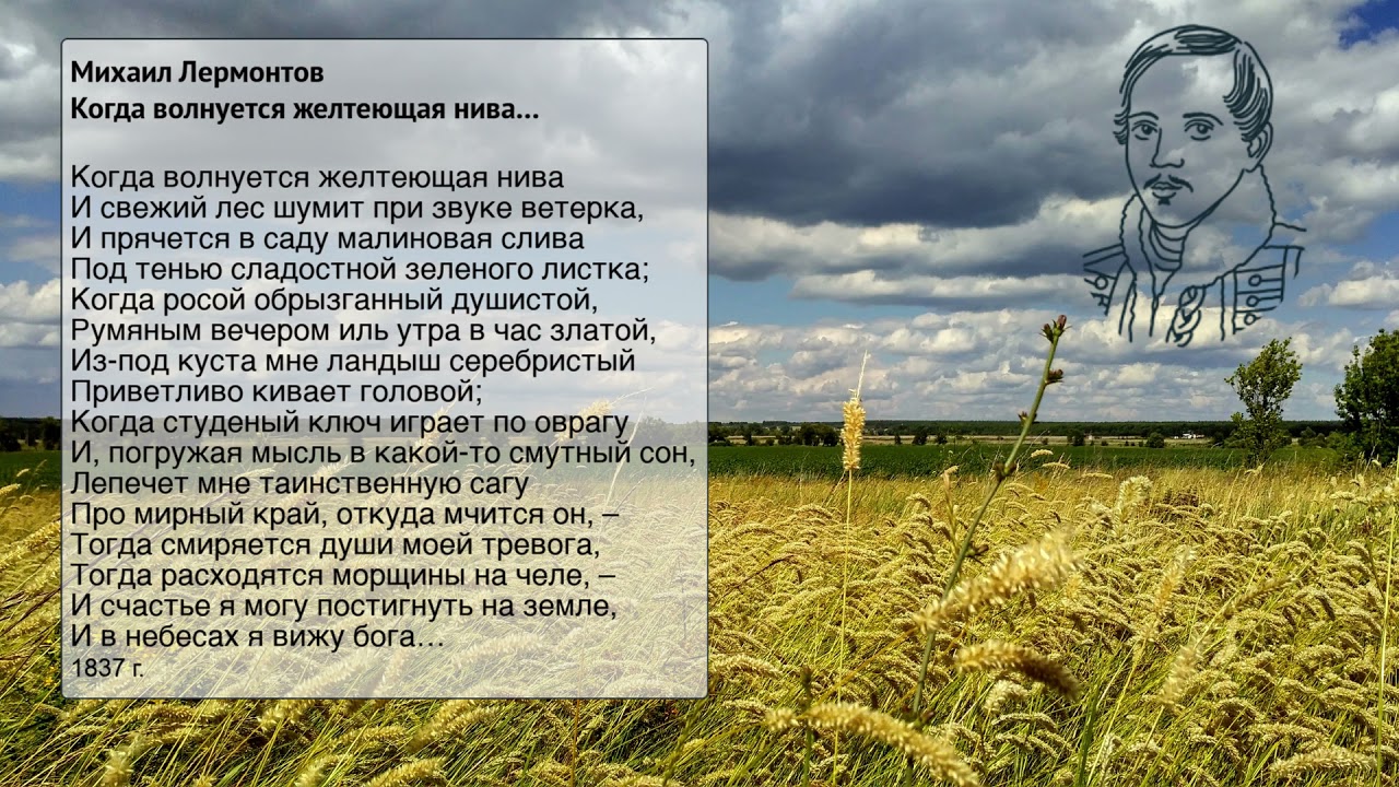 Стихотворение желтеющая нива анализ. М.Ю.Лермонтова "когда волнуется желтеющая Нива...". Жёлтая Нива Лермонтов. Стихотворение Лермонтова желтеющая Нива. Лермонтов "когда волнуется желтеющая Нива..." (1837 Г.).