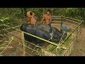 Building The Greatness Buffalo House And Mini Pool- How To Care Buffalo