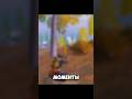 Ну как то ? 😱 #pubgmobile #metroroyalesppedbug #пабг #pubg