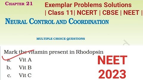 Neural Control and Coordination|NCERT Exemplar MCQs solution | Class 11 Biology |#neet2023