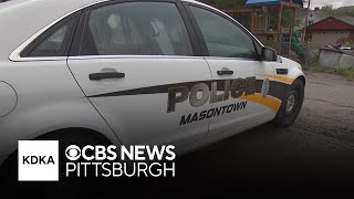 Fayette County animal control officer charged with shooting, killing 2 dogs