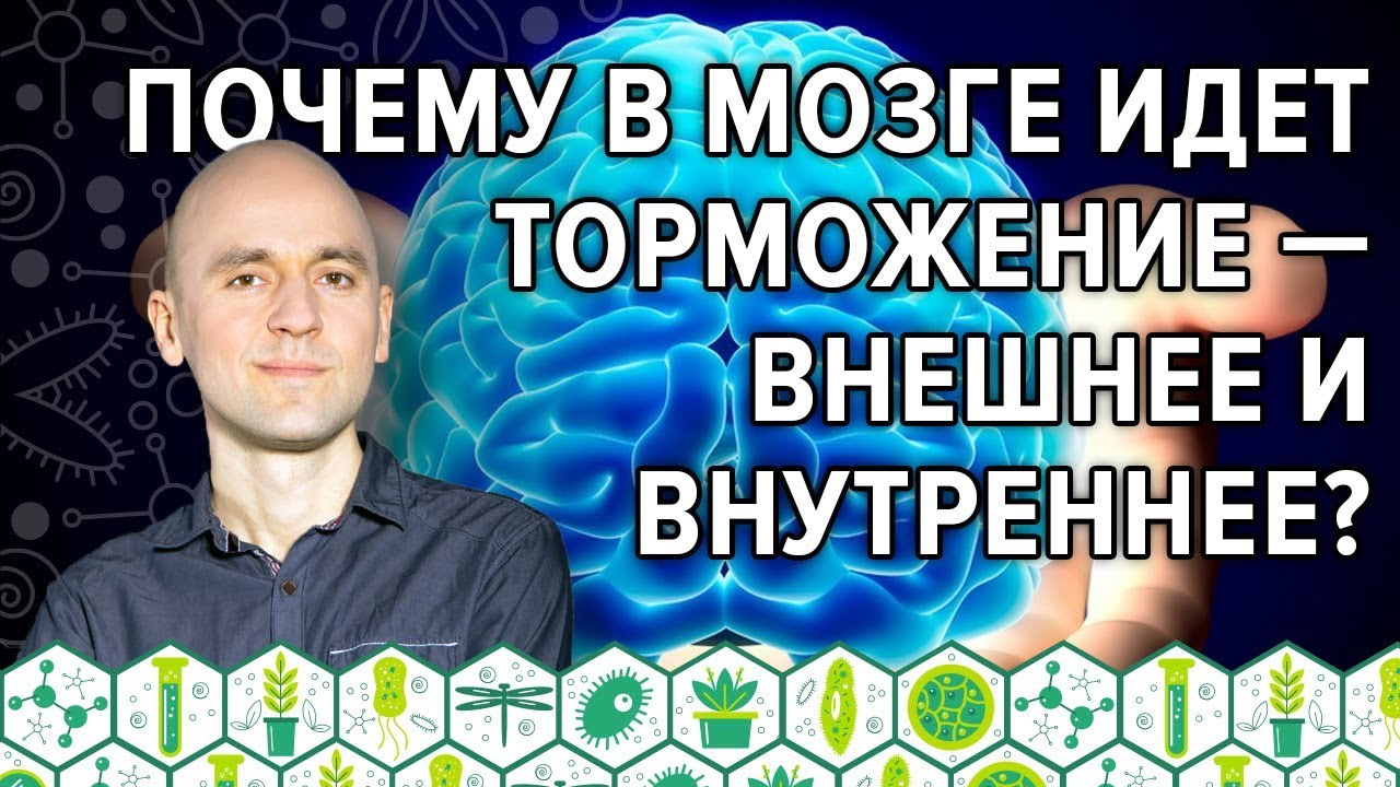 36. Почему в мозге идет торможение — внешнее и внутреннее? - YouTube