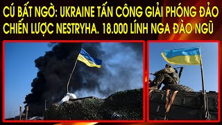 Hoan hô: Ukraine giải phóng đảo chiến lược Nestryha. 18.000 lính Nga đào ngũ. TTK NATO đến Kyiv