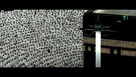 سورة البلد بصوت الشيخ ياسر بن راشد الدوسري من المسجد الحرام