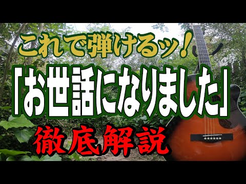 『お世話になりました』#井上順#ギター#弾き方#弾き語り#初心者＃入門