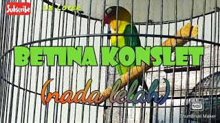 BETINA KONSLET (nada lelah)