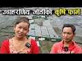 कामदार देखि मालिक हुदा सम्मको यात्रा ! - Tomato farming | Beautiful Couple | Success