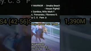 #shortvideos #horseracetips #skywarrior