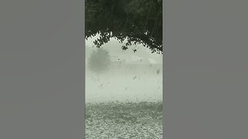 Massive Hail Storm strips leaves off trees