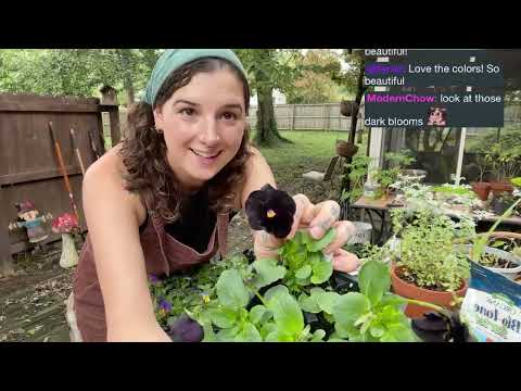 cozy gardening stream 🎃🥀 Twitch VOD
