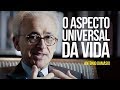 António Damásio - O aspecto universal da vida