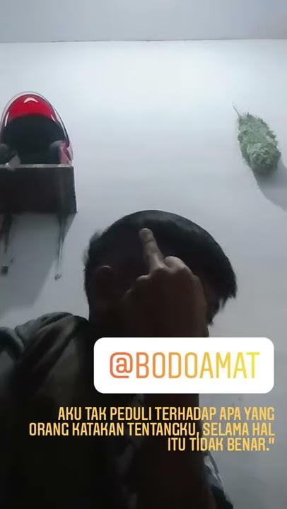 story wa di anjing banget