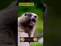 Funny Comedyfilms Appleinc ANAS Funnycomedy