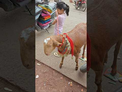 Eid ul ajha 2026🔥🔥🔥#kolkata #viral