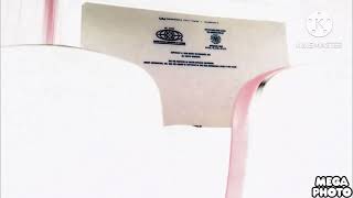 Closing To Dumbo 2019 Digital Cinema Movie AMC Theater G Major 1