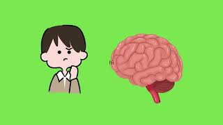 Chapter 5 - Brain Bee Series