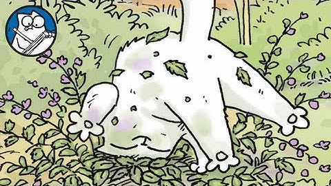 Catnip Paints - Simon