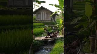 Download Lagu Old Onthel and Village Breeze: Tripping Through a Memory #shorts #trending #village MP3