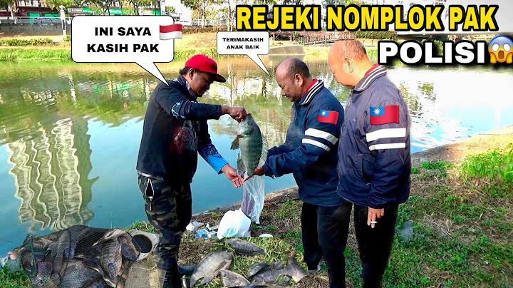 WINDOWS FISHING for wild tilapia in the river got many residents excited and wanted to buy my fish