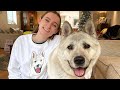 Introducing my dog Casper 💕