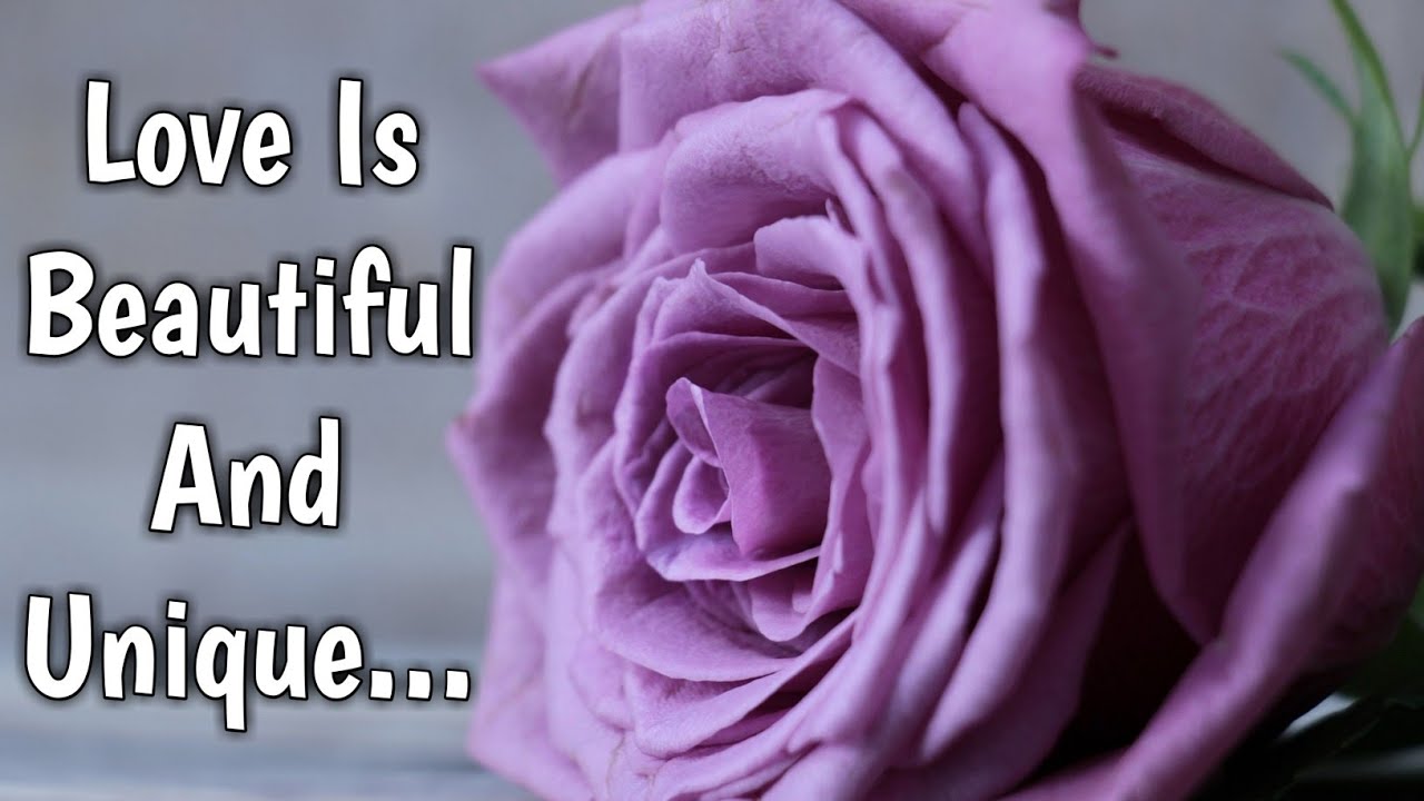 Love Is Beautiful And Unique