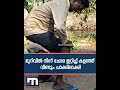 കടിച്ച പാമ്പിനെ വലിച്ചെടുത്തു; മുറിവിൽ നിന്ന് ചോര ഇറ്റിച്ച് കളഞ്ഞ് വാവാ സുരേഷ്