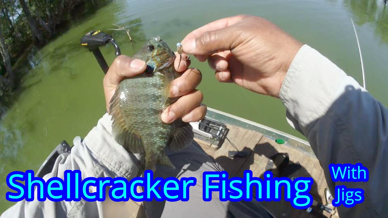 Shellcracker Fishing Bluegill Fishing Bobber and Jig Fishing Tips