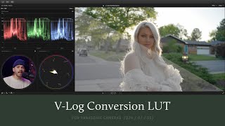 Why this Conversion LUT for V-LOG is SO MUCH BETTER than Panasonic's