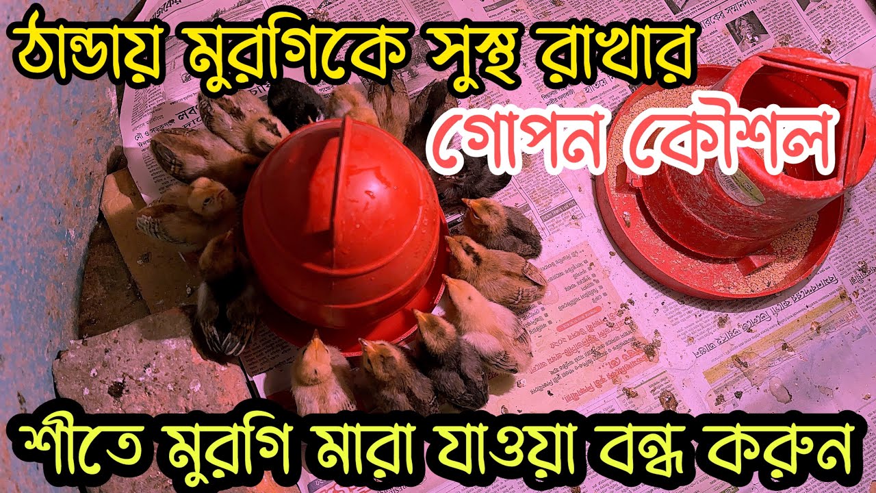 ঠান্ডায়