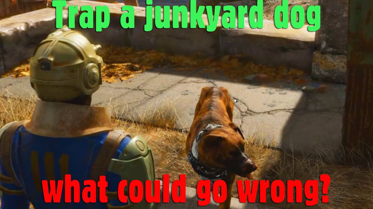 Fallout 4: Trap a junkyard dog, what could go wrong?