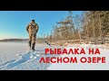 Рыбалка на ЖЕРЛИЦЫ на ЛЕСНОМ ОЗЕРЕ | Ловля щуки на жерлицы