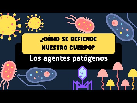 Video: ¿Cómo entran los patógenos en el cuerpo?