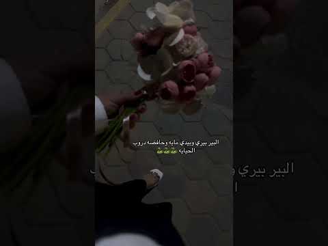 البير بيري وبيدي مايه ترند تيك توك اكسبلور    لايك 