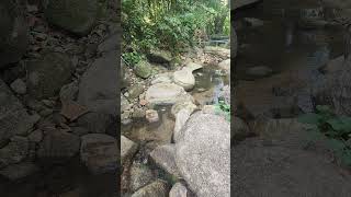 kathu waterfalls #nature phuket