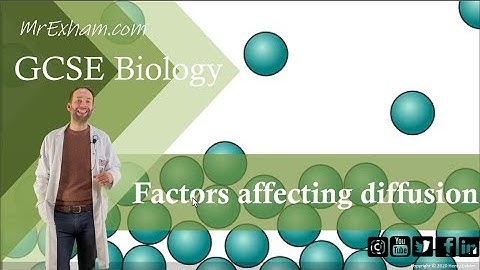 Factors Affecting Rate of Diffusion - GCSE Biology (9-1) 8.4B