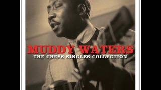 Muddy Waters ~ I'm Your Hoochie Coochie Man chords