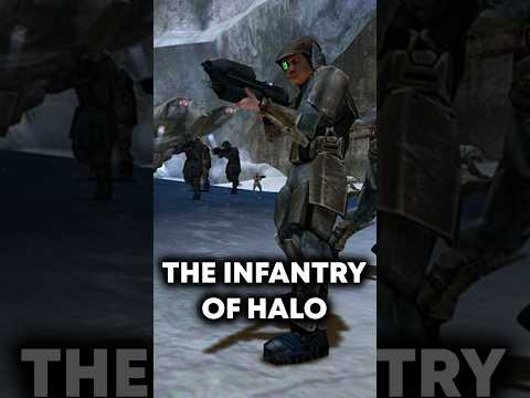 Halo Without the