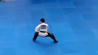 D405, 盧韋安, 粵系洪拳, 洪家扇
