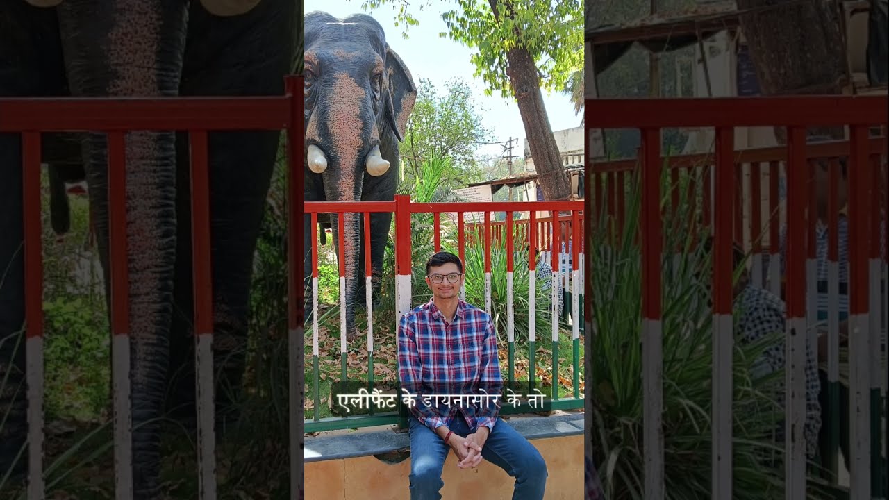 Sayaji Baug Zoo Experience Vadodara Shorts Ytshorts Sayajibaug