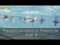 Total Immersion Perpetual Motion Freestyle: Part 4