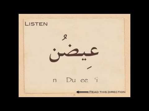 Arabic Reading Immersion Course - 6 ض ص و