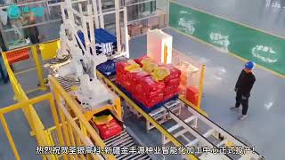 Fully Automatic Packaging Line for Seed Corn or Rice by BORCH Packaging