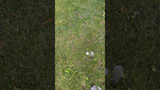 Guy hits golf ball with club then ball hits boy on his head