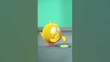 SHORTS CHICKY | CHICKY