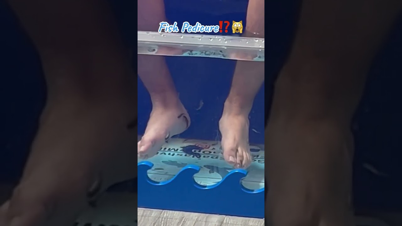 Fish Pedicure⁉️🙀