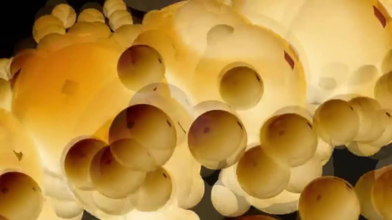 Samsung Logo Balls In G Major Fixed Youtube Samsung Logo Balls In G Major Fixed Youtube