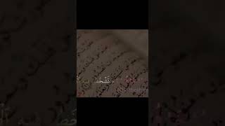 ceramah singkat azab yang diundur | ust. Maududi Abdullah hafidzahullah
