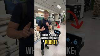 Japanese Robot At A Department Store