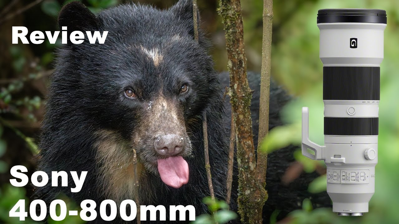 El Mejor Lente para Vida Salvaje? Review del Sony 400-800mm G