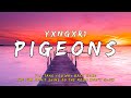 yxngxr1 - PIGEONS (Lyrics)